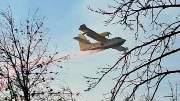 Požar pod nadzorom (foto in video)