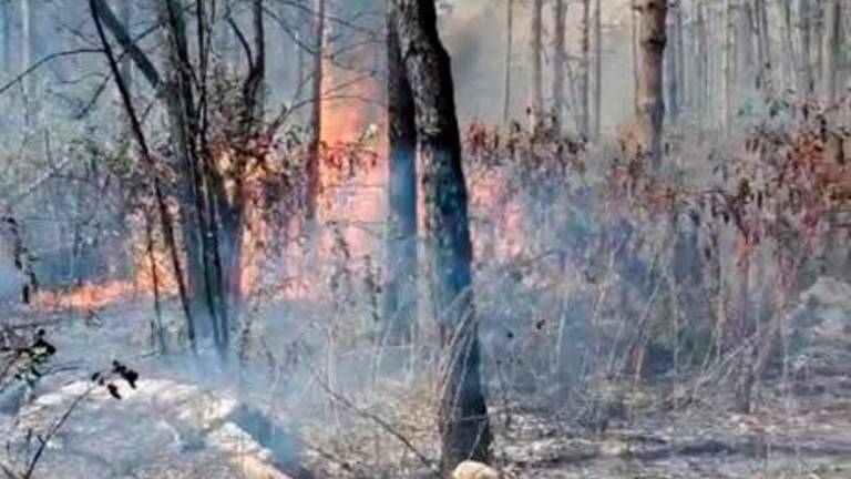 Požar pod nadzorom (foto in video)