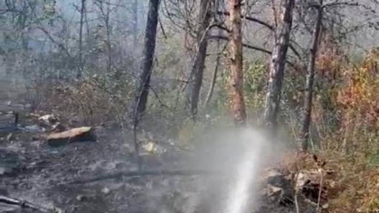 Požar pod nadzorom (foto in video)