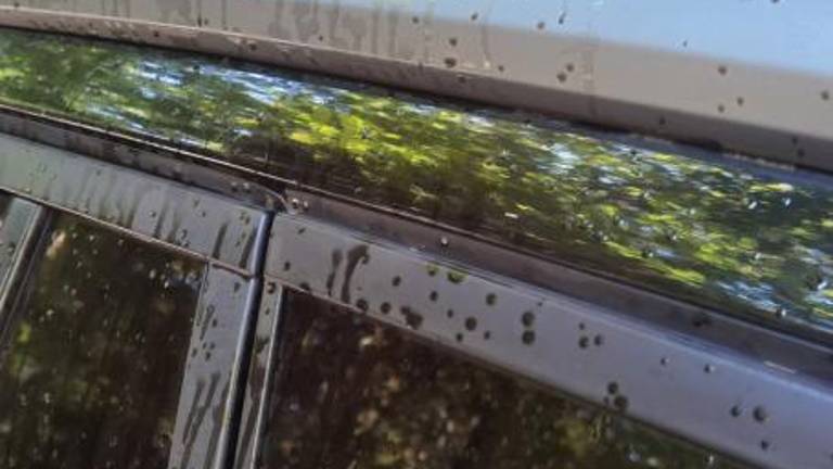 Sredi gozda med Lokvami in Lazno so jim pomazali avtomobil