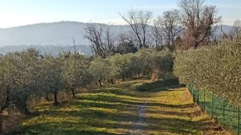 Pot na Kapelo bolj varna in prijetna