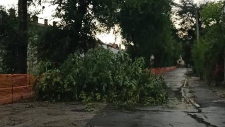 Zaradi nevihte nekaj škode na Goriškem