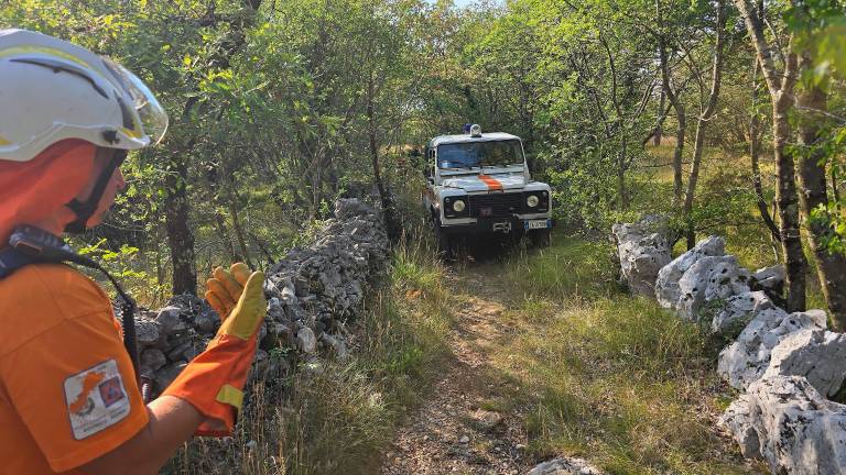 Ogenj je uničil petindvajset hektarjev Krasa