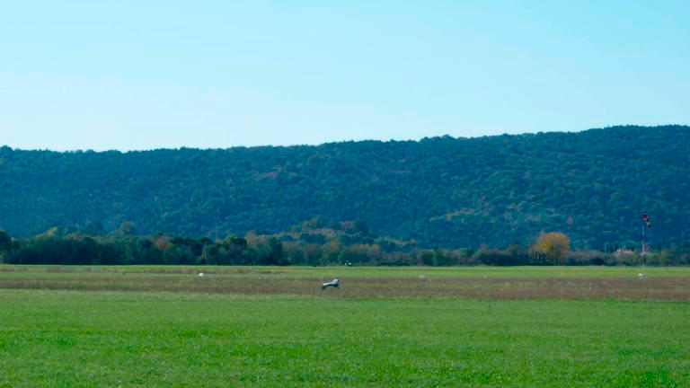 Ponekod že zadišalo po pomladi