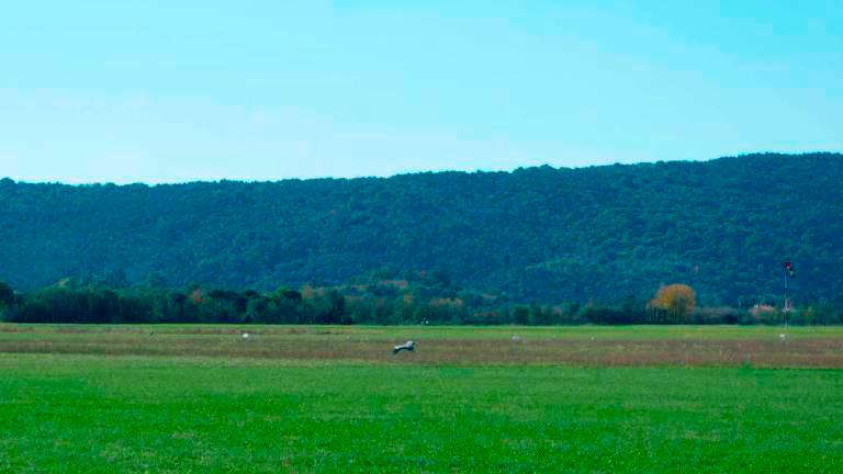 Ponekod namerili najhladnejši dan v letošnjem poletju