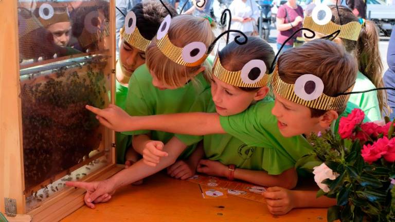 Dan čebel v dolinski občini