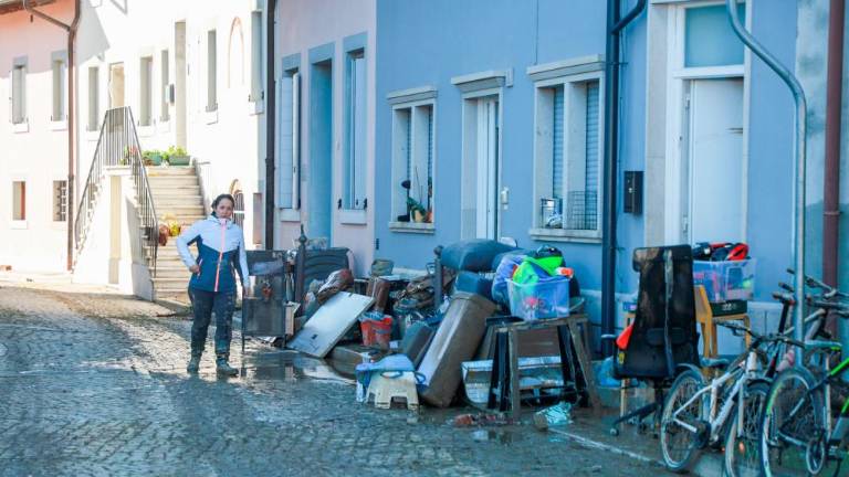 V Verso se vrača življenje