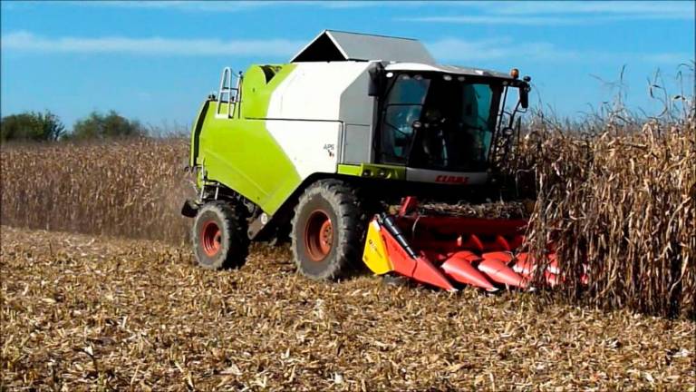 Med žetjem koruze stroj mladoletniku odtrgal obe roki