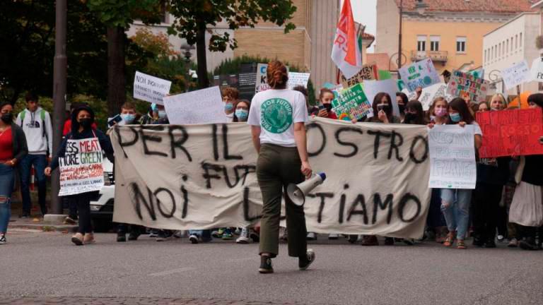 Podnebni štrajk s sprevodom po mestu