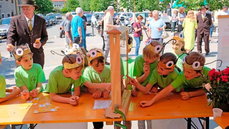 Dan čebel v dolinski občini