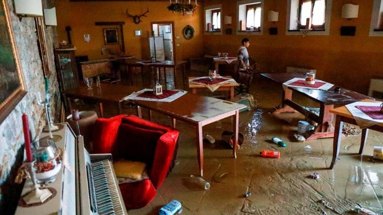 V Verso se vrača življenje