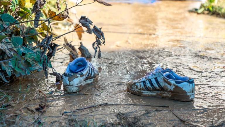 V Verso se vrača življenje