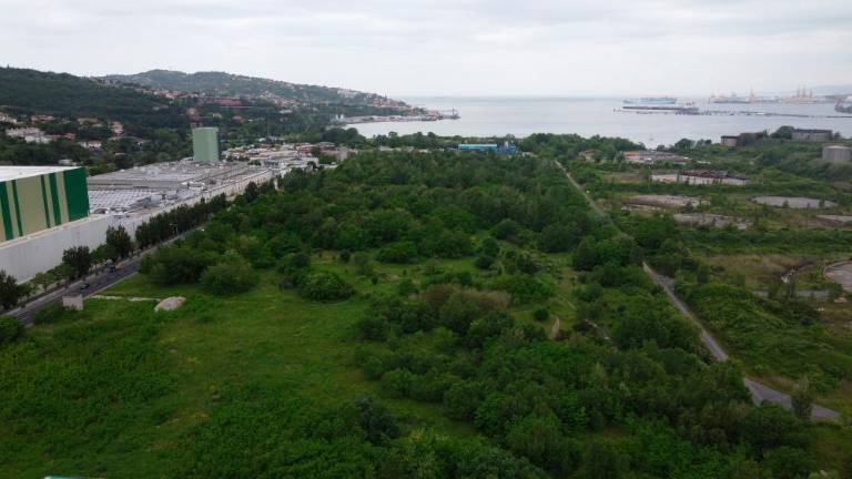 AAG poizveduje o čezmejnih vplivih nove valjarne