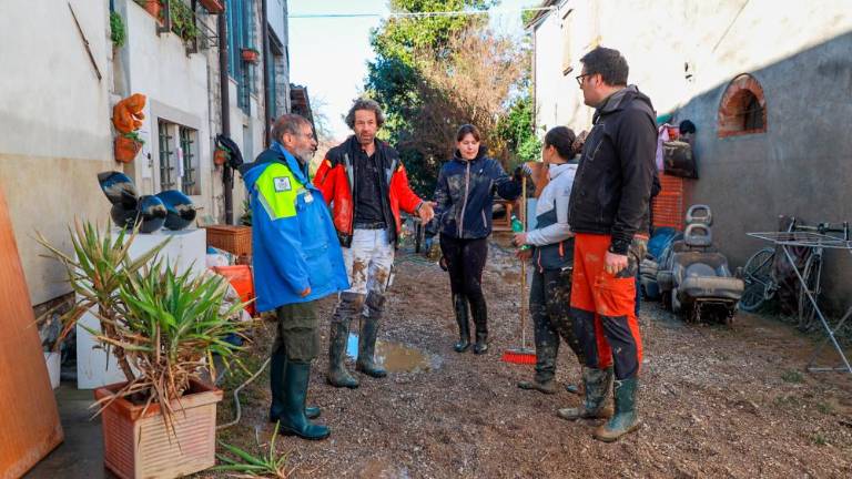 V Verso se vrača življenje