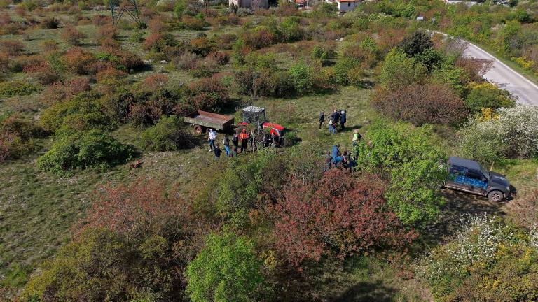 Čiščenje kraške gmajne pri Štivanu