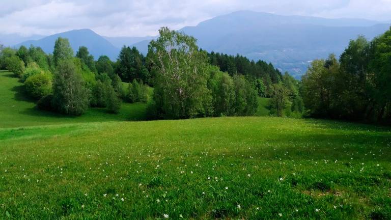 Na hribu Kraguojnca v Benečiji ne bodo gradili vetrnic