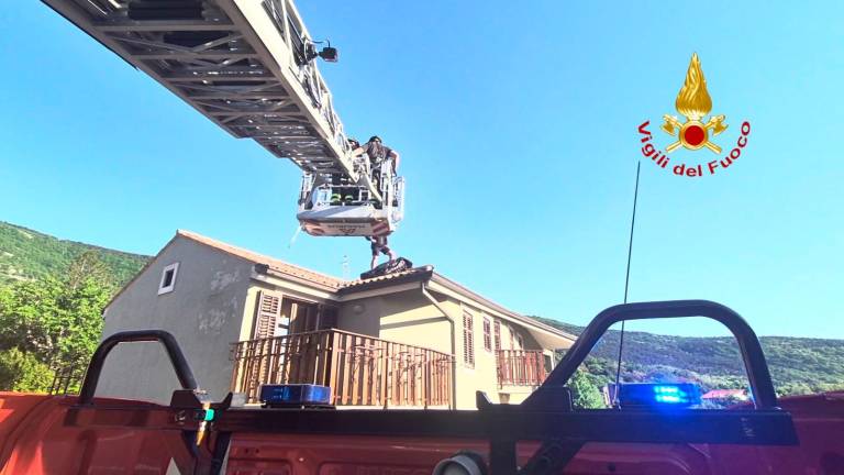 Jadralni padalec v Dolini zasilno pristal na strehi stanovanjske hiše (video)