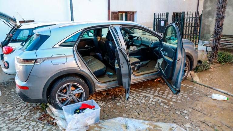 V Verso se vrača življenje