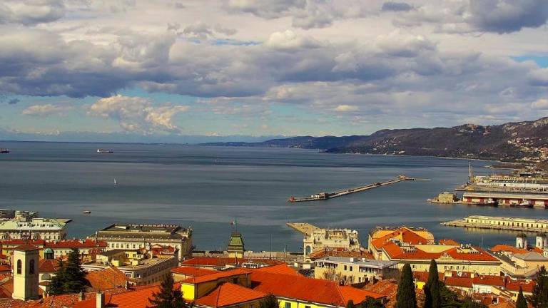 Razen na Tržaškem padle zadovoljive količine dežja