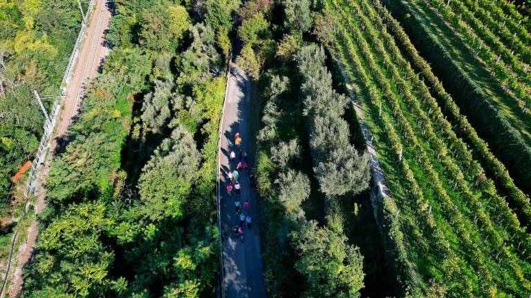 Člani banke peš od Nabrežine do Miramara