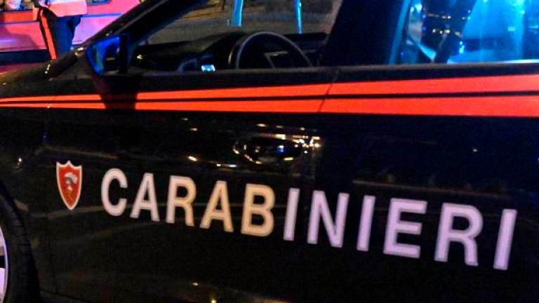 V Krminu so bili spet na delu tatovi