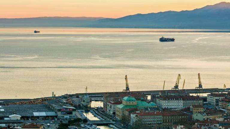 Leto obletnic in Luke različnosti