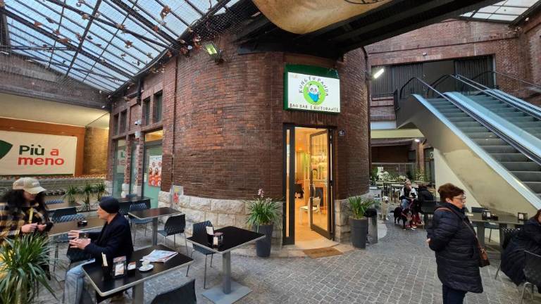 Tatovi vdrli v kitajsko restavracijo