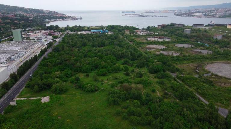 Vertikalno kmetijstvo namesto jeklarne