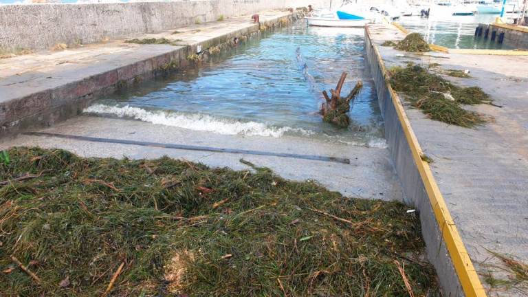 V Grljanu odstranjevali posledice poplav (FOTO)