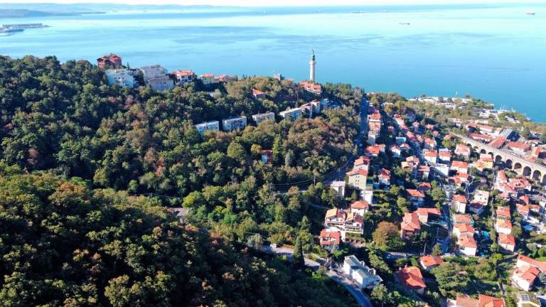 Nasprotniki žičnice zahtevajo ustavitev postopka