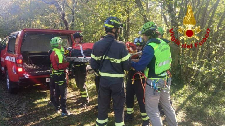Padla v Zidaričevi pejci in se poškodovala