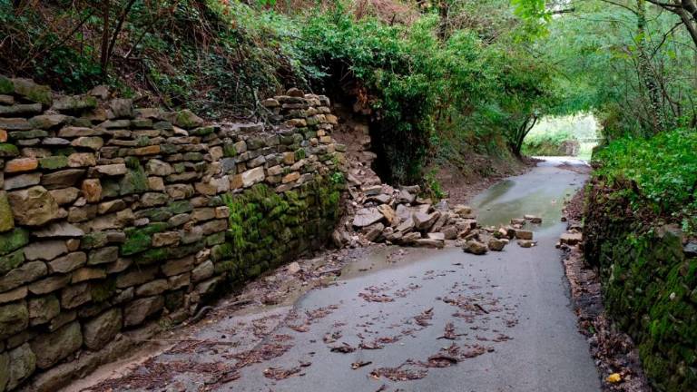 Usada na Kontovelski rebri in Skdjancu (foto)