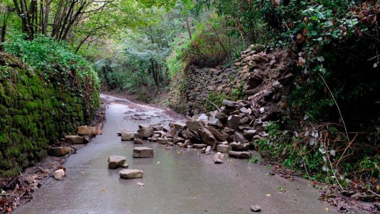 Usada na Kontovelski rebri in Skdjancu (foto)