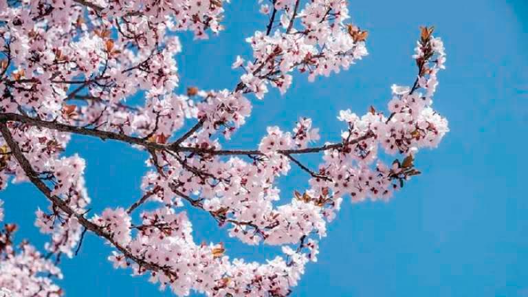 Danes ponoči se je začela pomlad