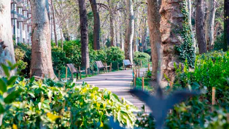 Zaradi burje zaprli tržaške mestne parke