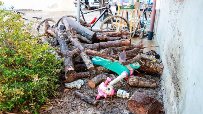 V Verso se vrača življenje