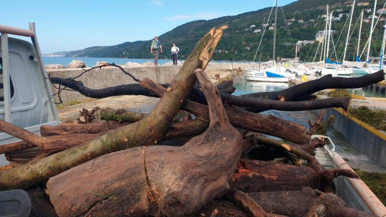 V Grljanu odstranjevali posledice poplav (FOTO)