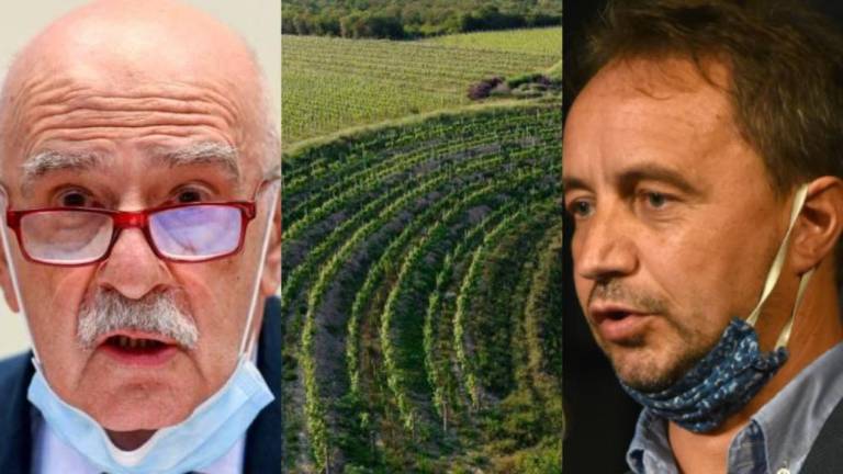 Istat: popis kmetijstva bo tudi v slovenskem jeziku