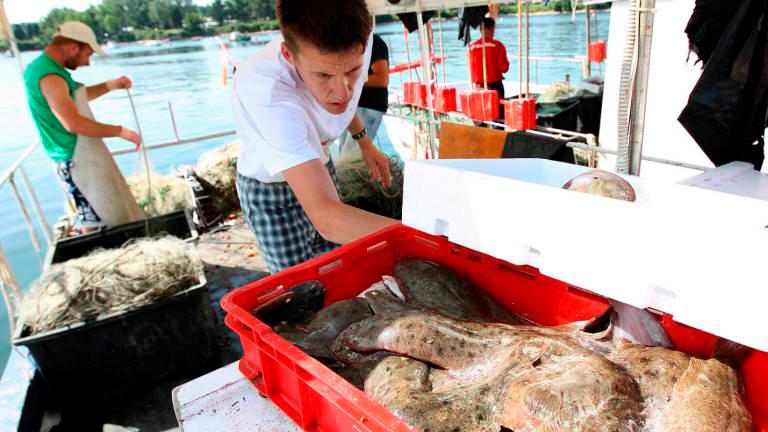 Slovenija bo ribiče zaščitila na Evropskem sodišču za človekove pravice