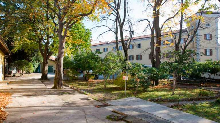 Ali bi praznike preživeli z dijaki devinskega zavoda UWC?