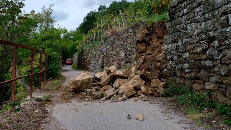 Usada na Kontovelski rebri in Skdjancu (foto)