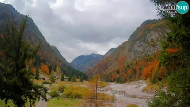 Prikazala se bo prava jesen