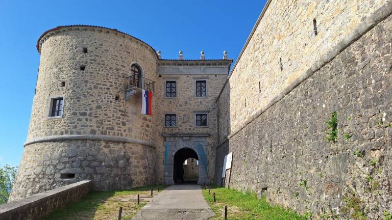 Netopirska porodnišnica ponuja doživetja