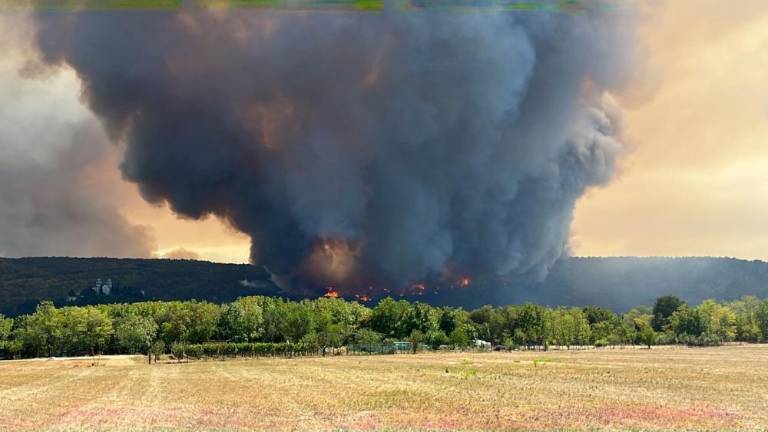 Golob: »Proti naravnim nesrečam le s skupnimi močmi«