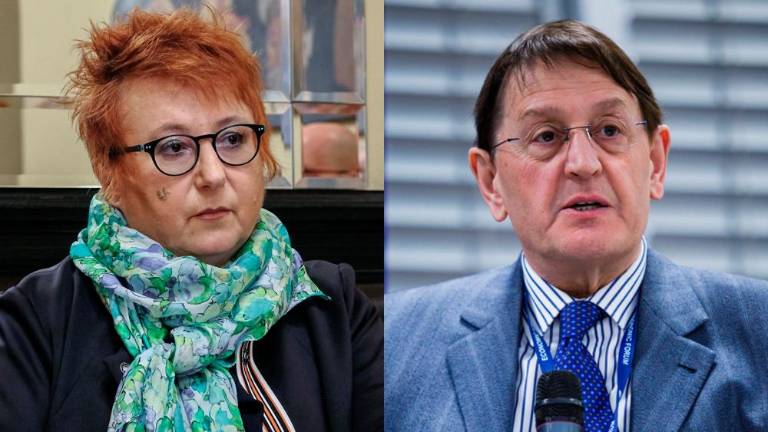 Iz Furlanije kritike Tatjani Rojc