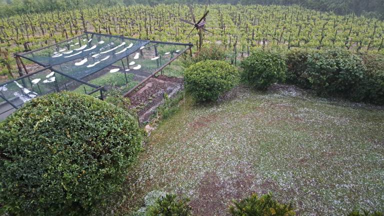 Toča klestila v številnih krajih po Goriškem (foto in video)