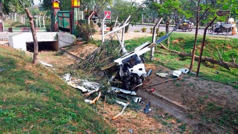 Strmoglavilo Pipistrelovo letalo