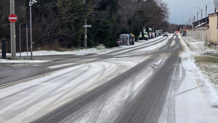 Ceste na Tržaškem so prevozne