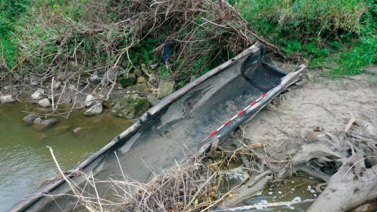 Mura naplavila več kot 11-metrski prazgodovinski deblak