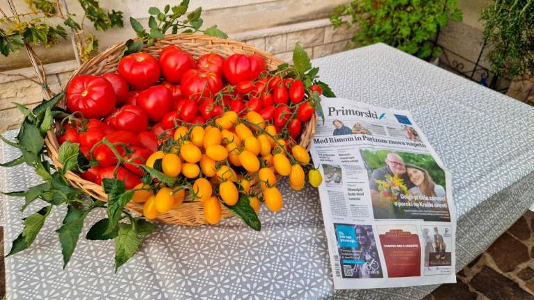 Fotoutrip ‘25 - september